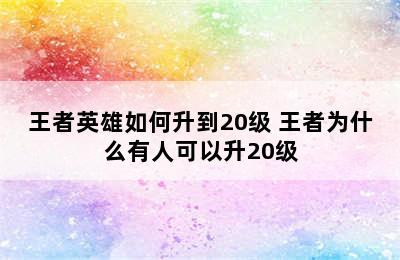 王者英雄如何升到20级 王者为什么有人可以升20级